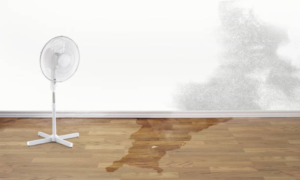 Best Commercial water damage restoration  in Granby, CO