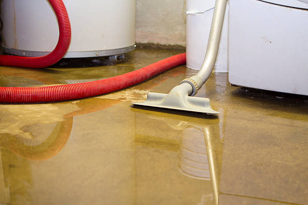 Water damage restoration mold remediation in Granby, CO