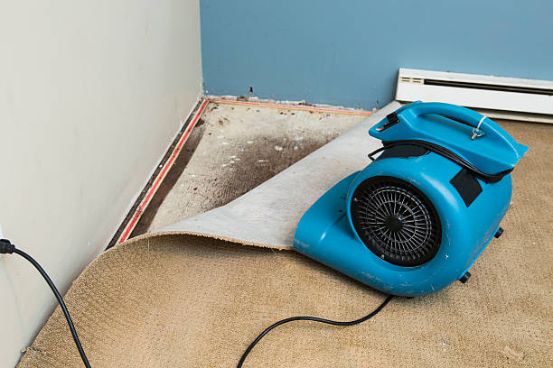 Best Flooded house restoration  in Granby, CO
